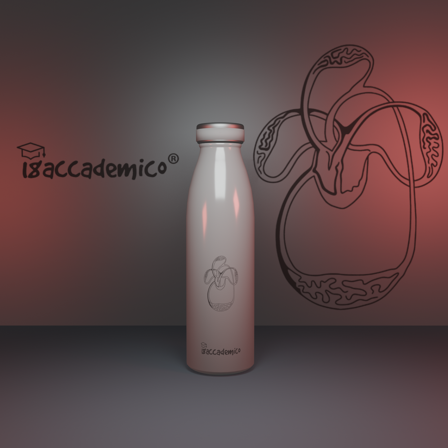 Borraccia Cardiovascular